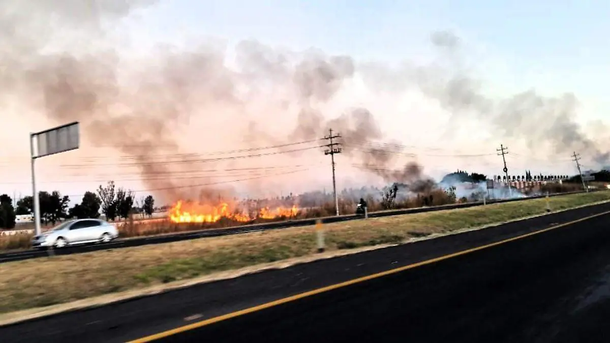 42d2af2b-ac88-4cae-8eac-f4804d0d5ba9