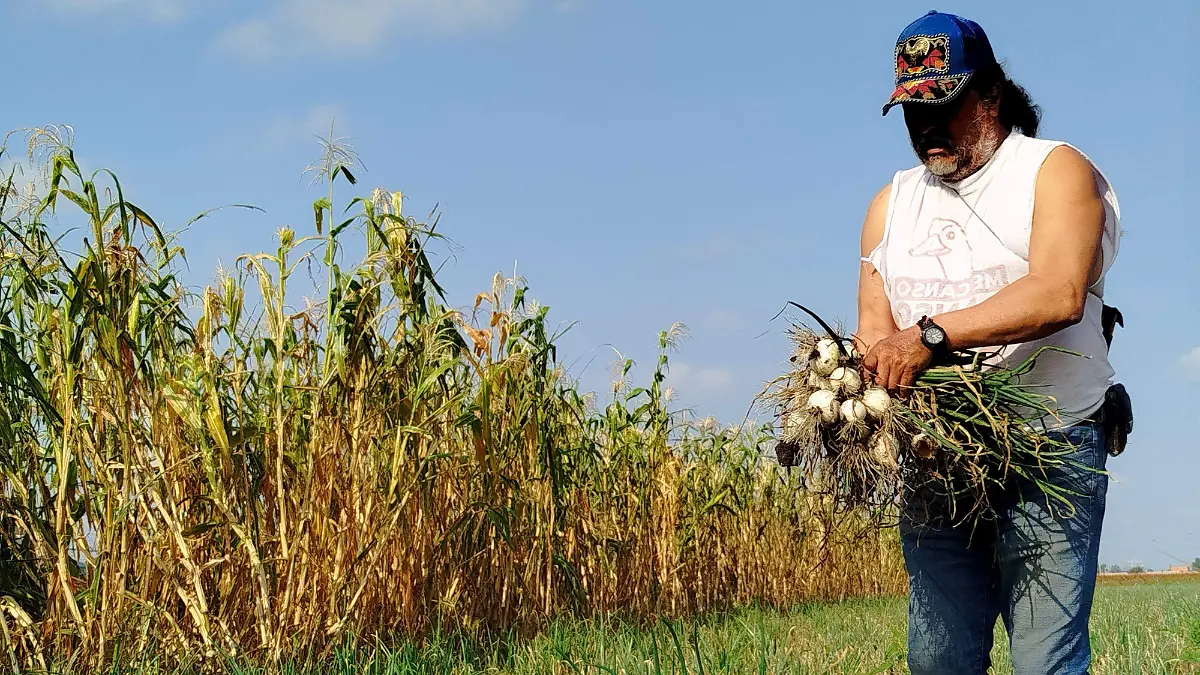  demandadas en el campo