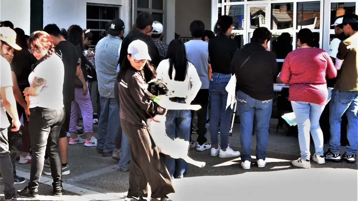 Esterilizan-a-mascotas 