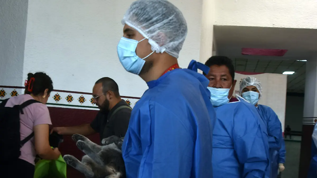 Campaña-de-esterilización 