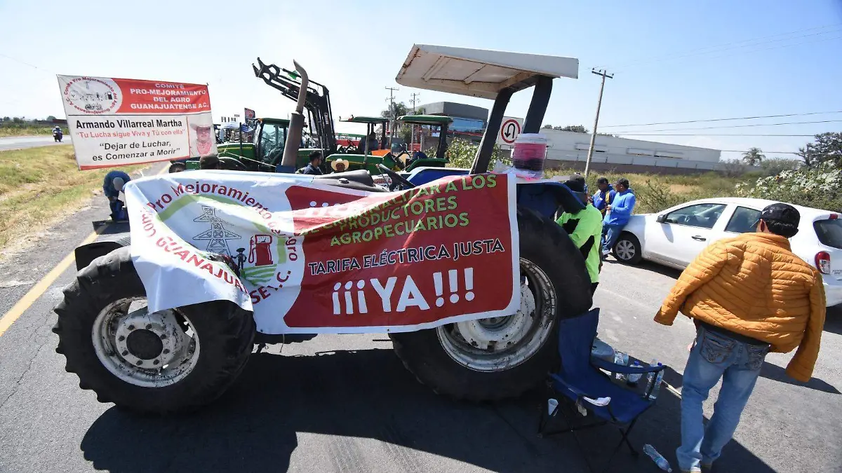 WhatsApp Image 2026-04-16 at 08.45.39