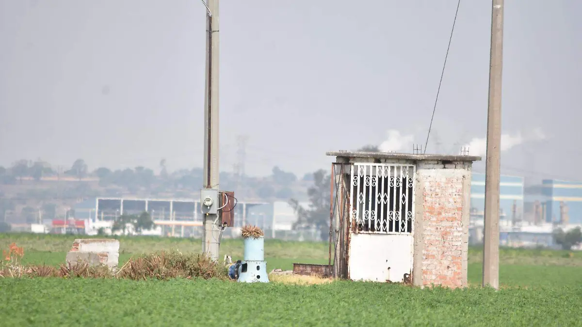 Campo  (1)