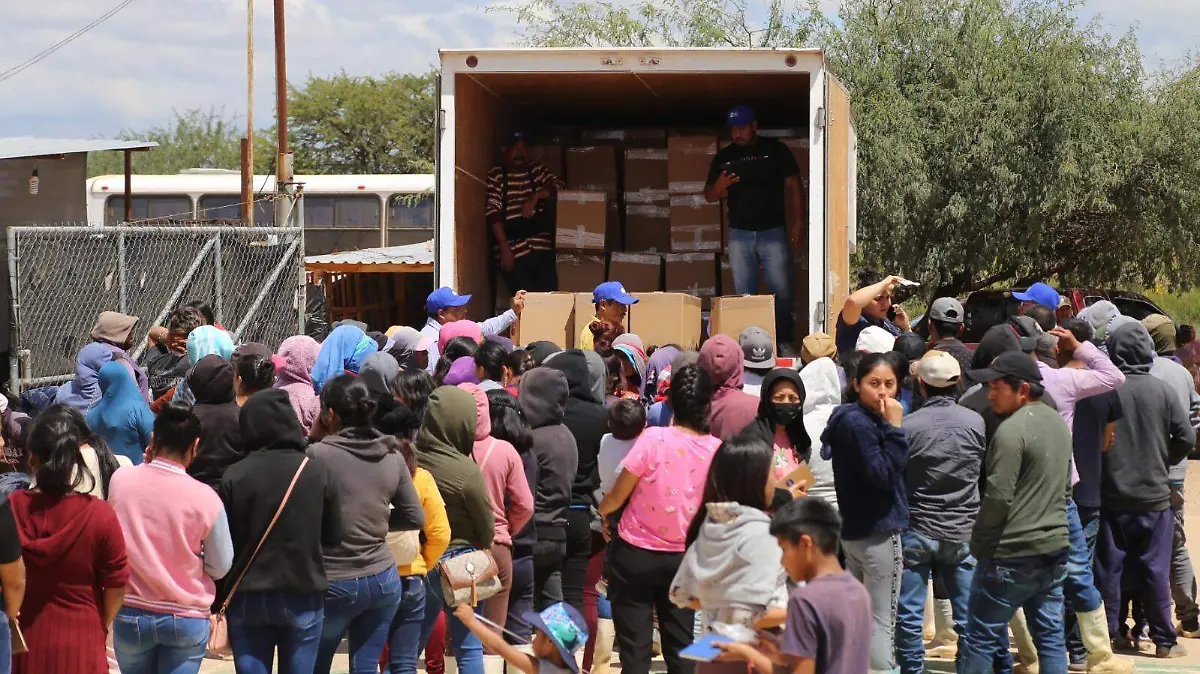 migrantes  (2)