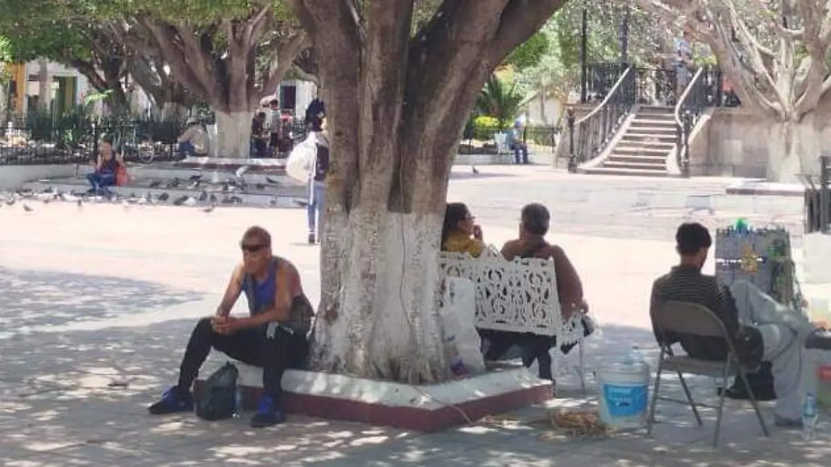 calorquema (1)