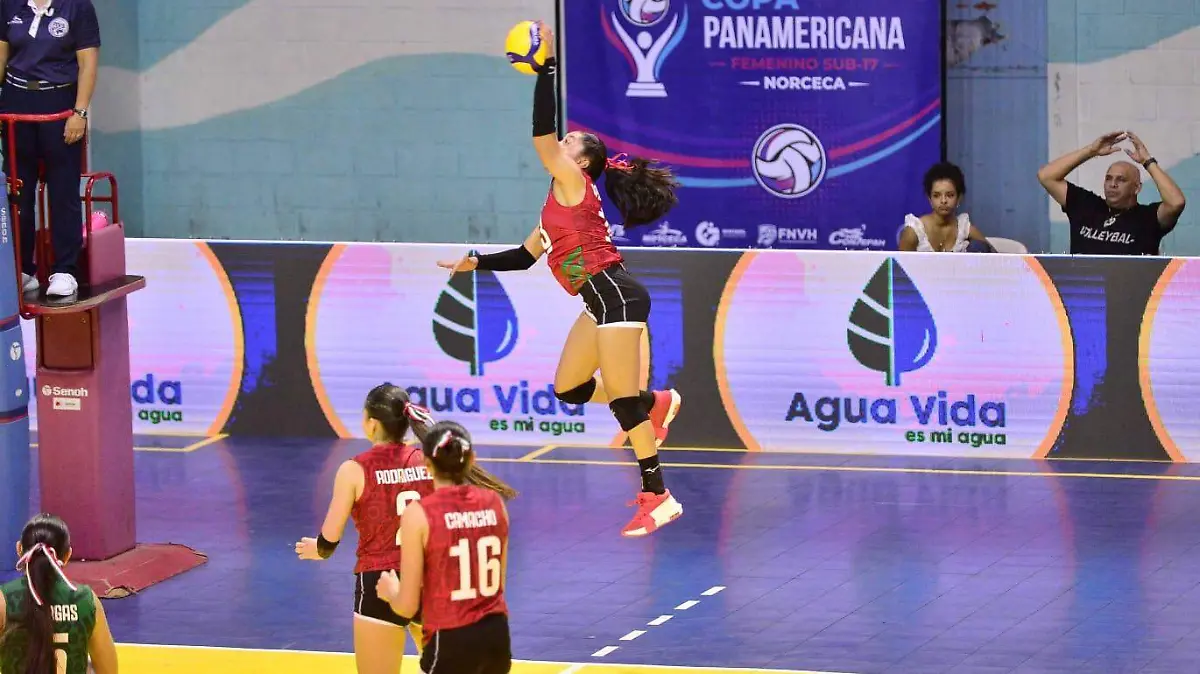 ENTRENADORASALMANTINA2-Cortesia-@VoleibolMexico