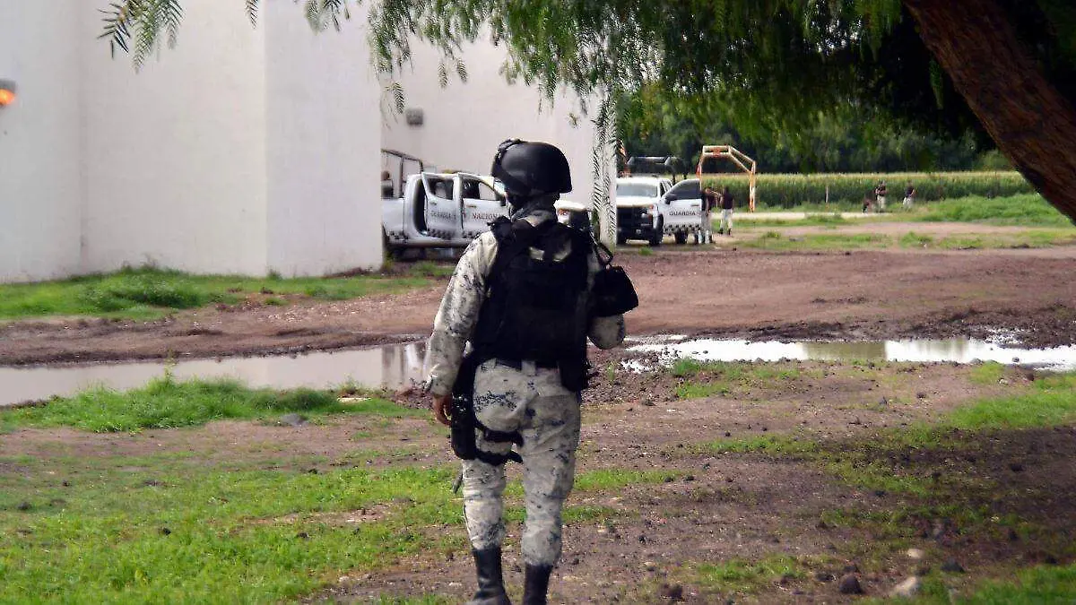 polideportivo (1)
