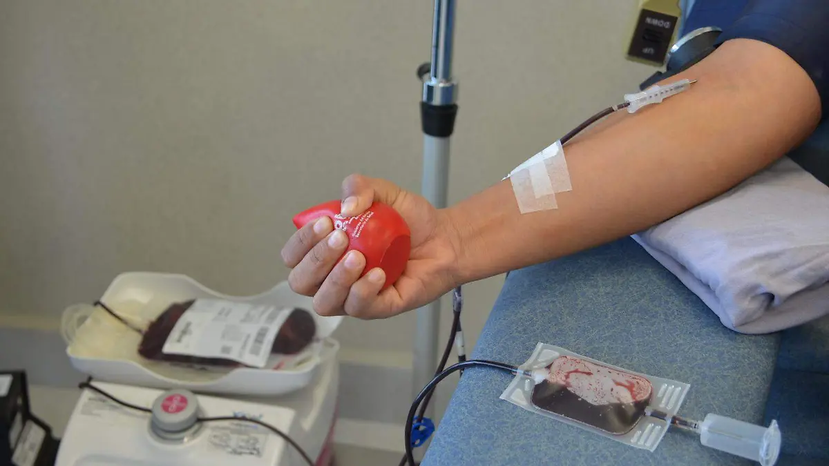 donación de sangre (1)
