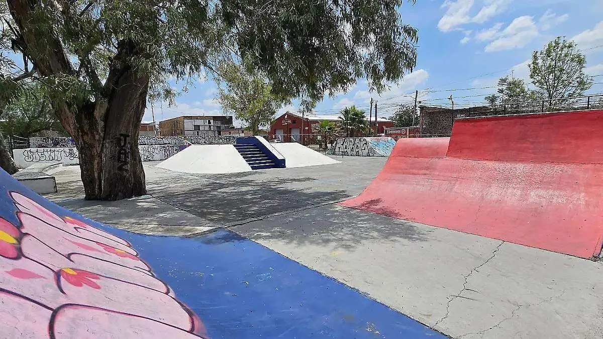 skate park  (1)