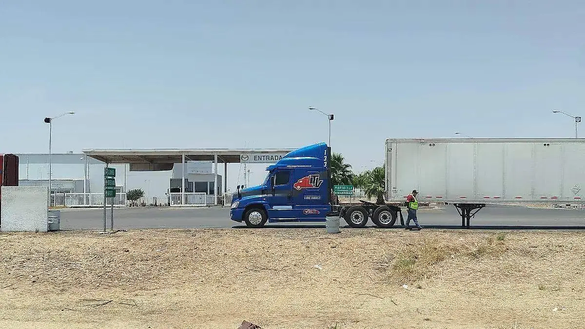 transportistas  (3)
