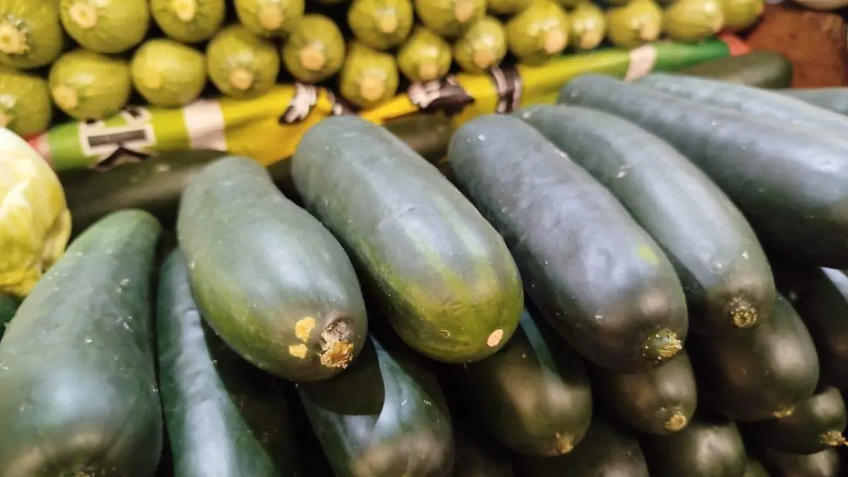 nutrientes  (1)