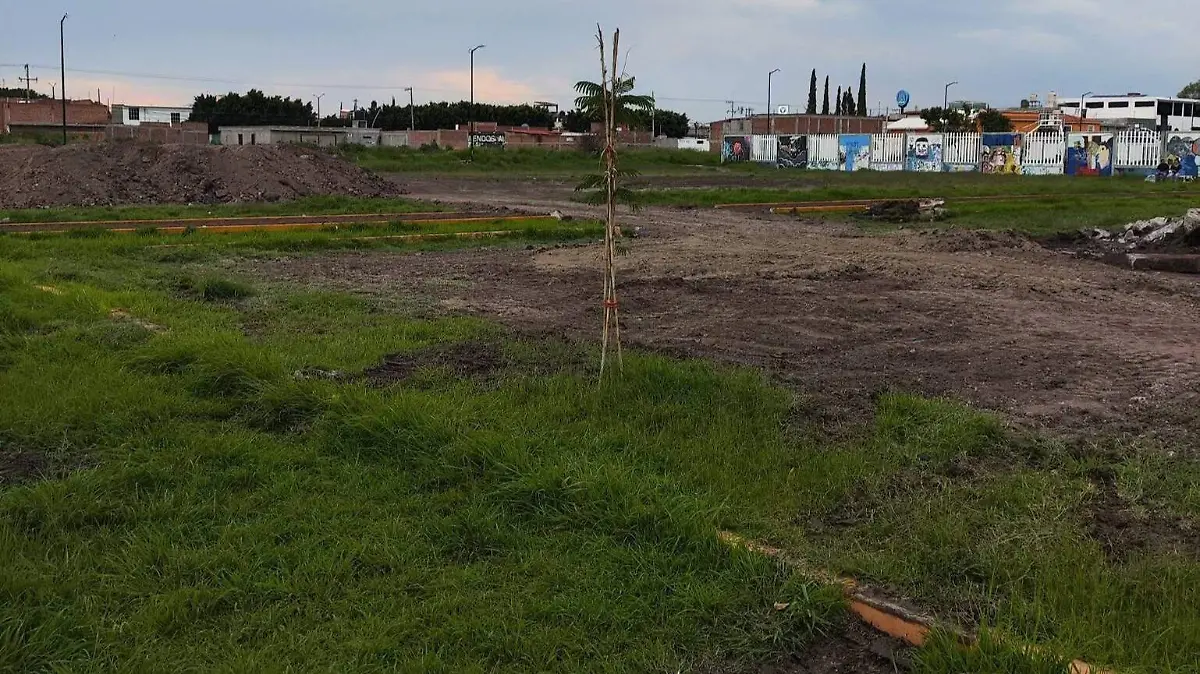 Árboles  (1)