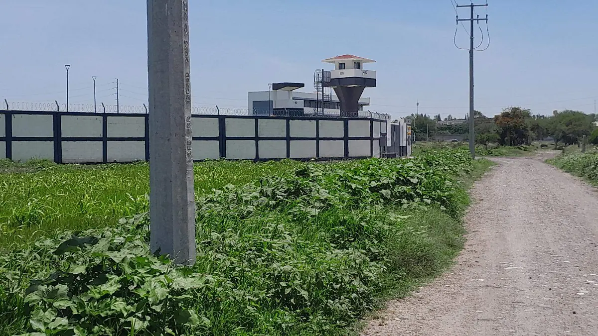 caminoviejo  (1)