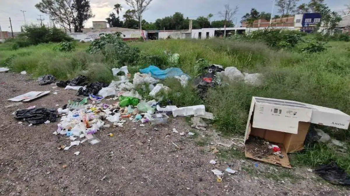 basurero (1)