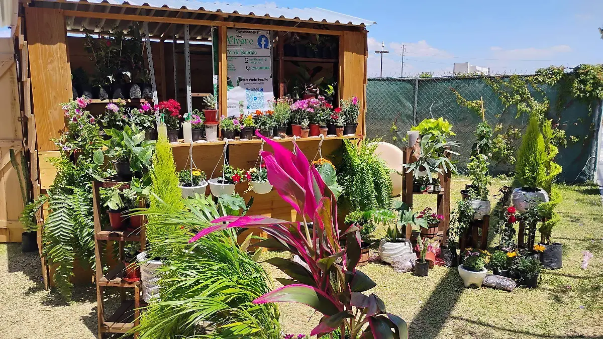Vivero