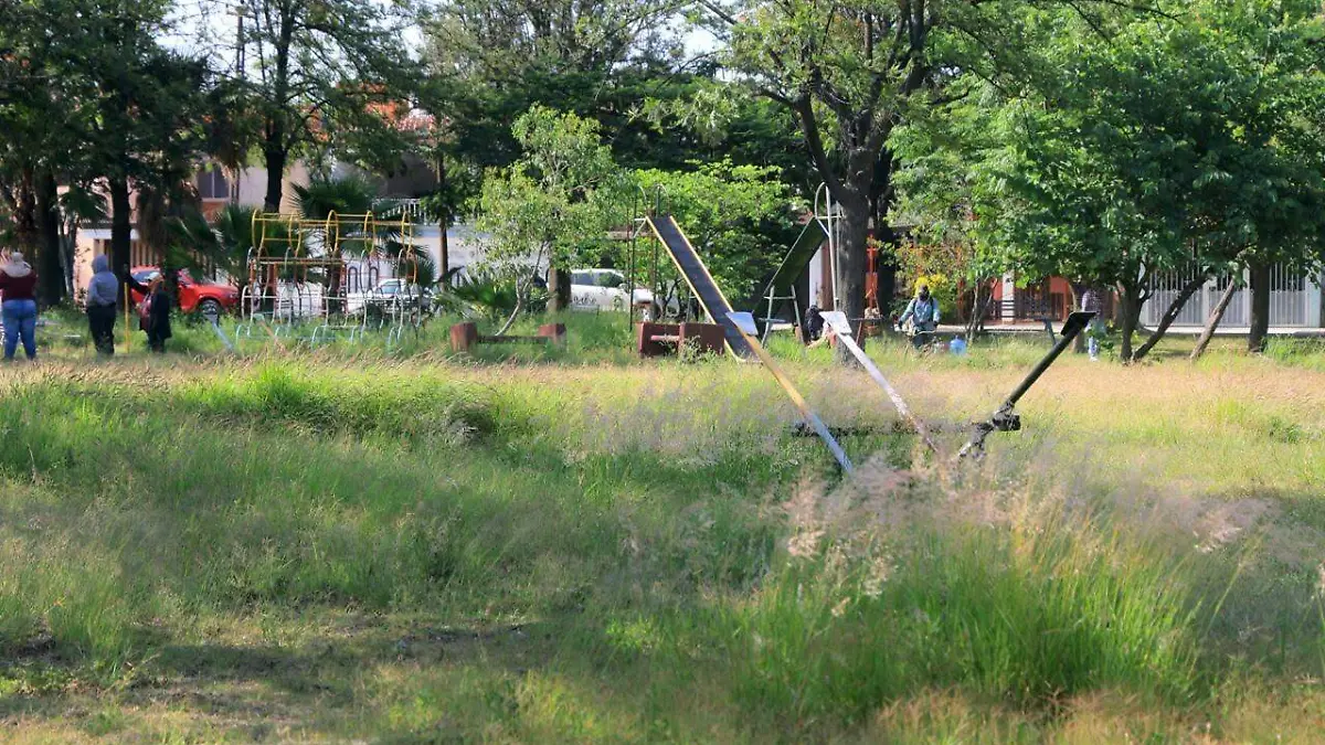 vecinos  (1)