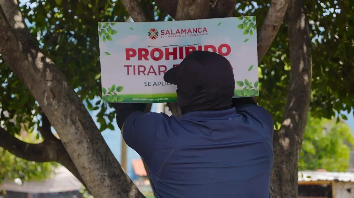Avenida Primavera (2)
