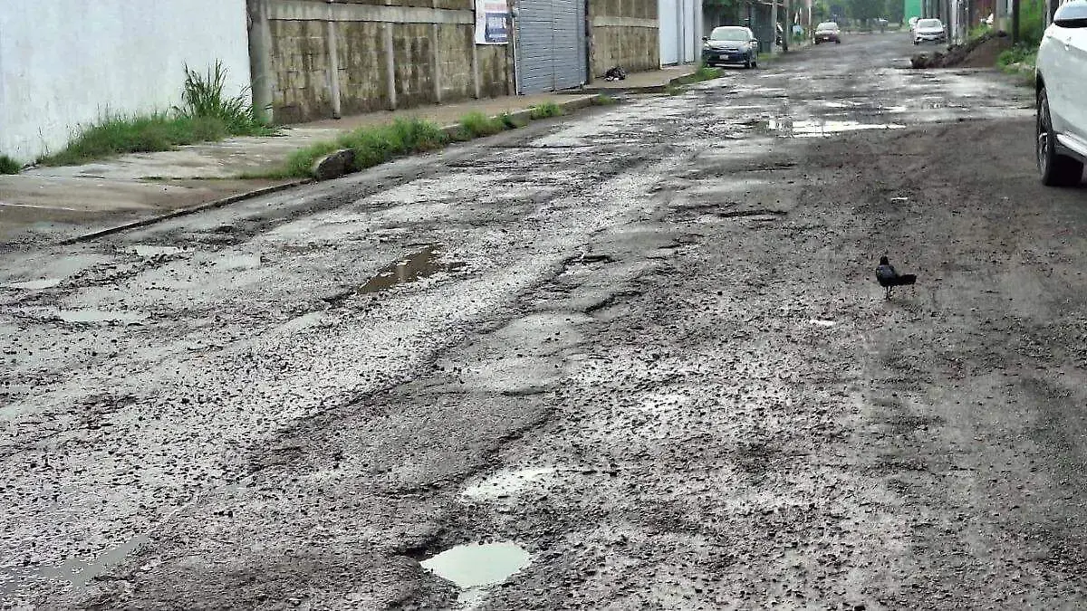 bacheo  (1)