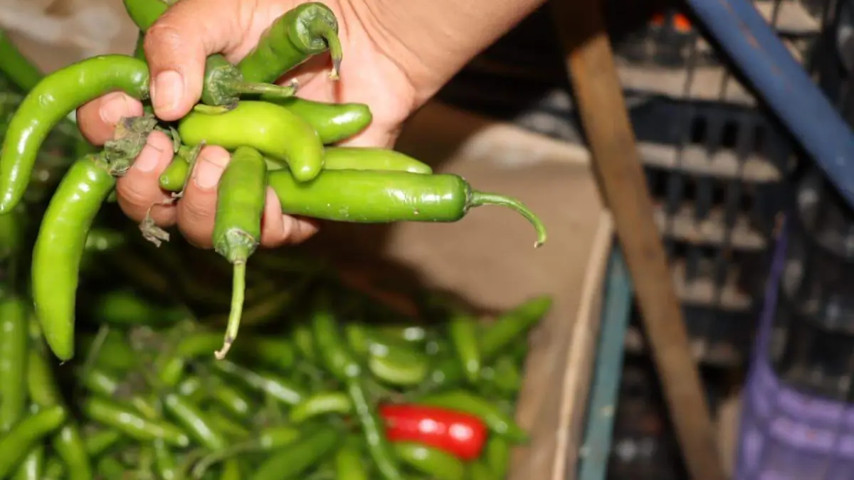 sjr suelen intercambiar