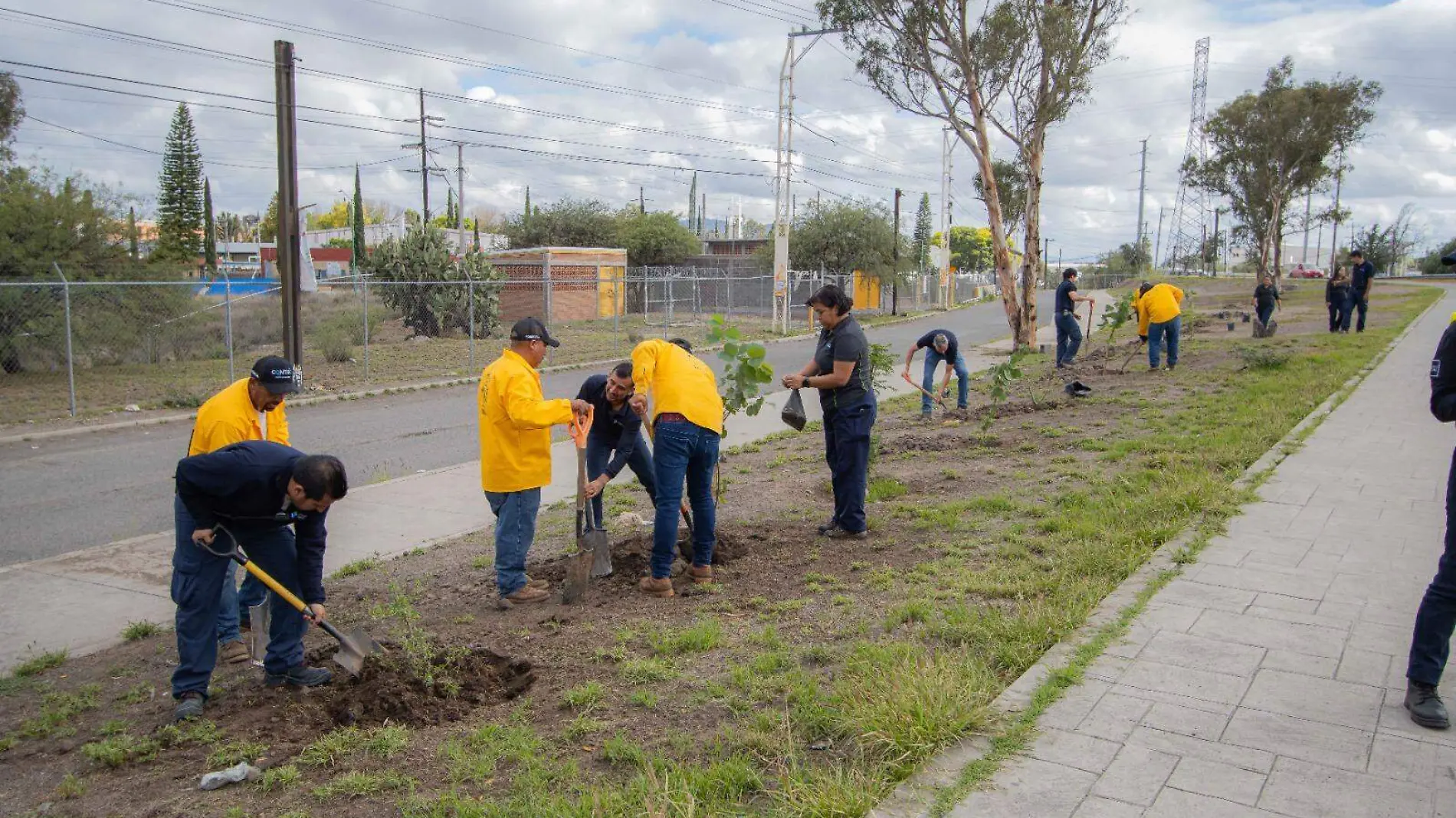 reforestacionsanjuan