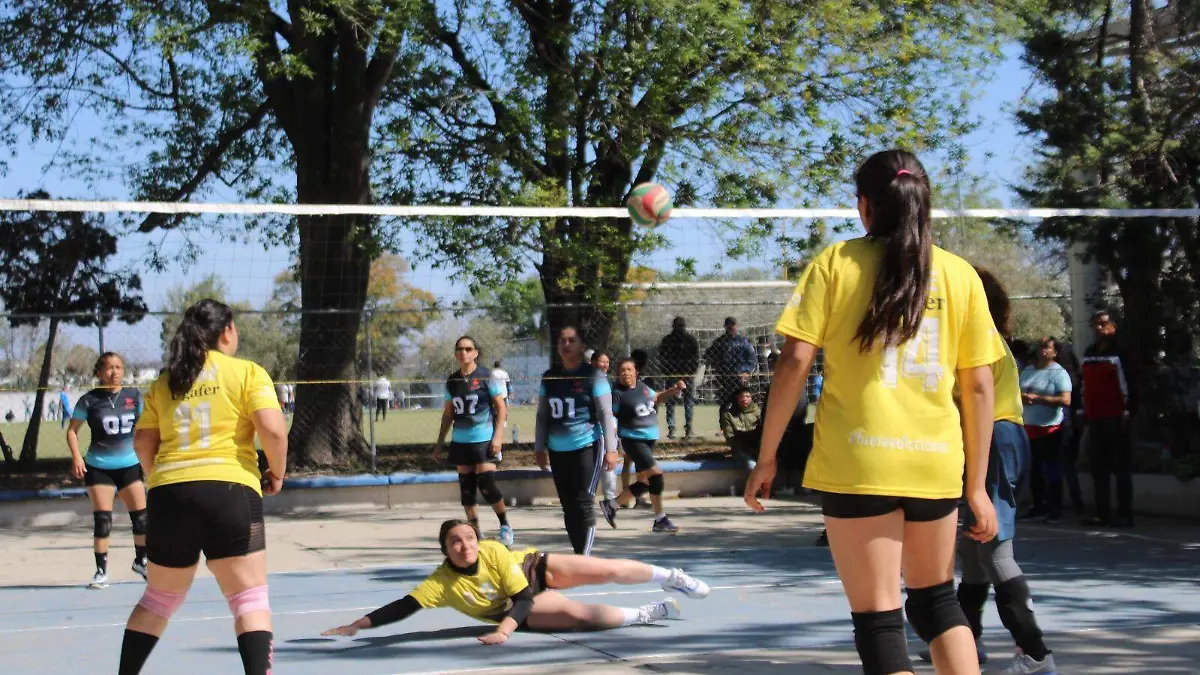 Voleibol