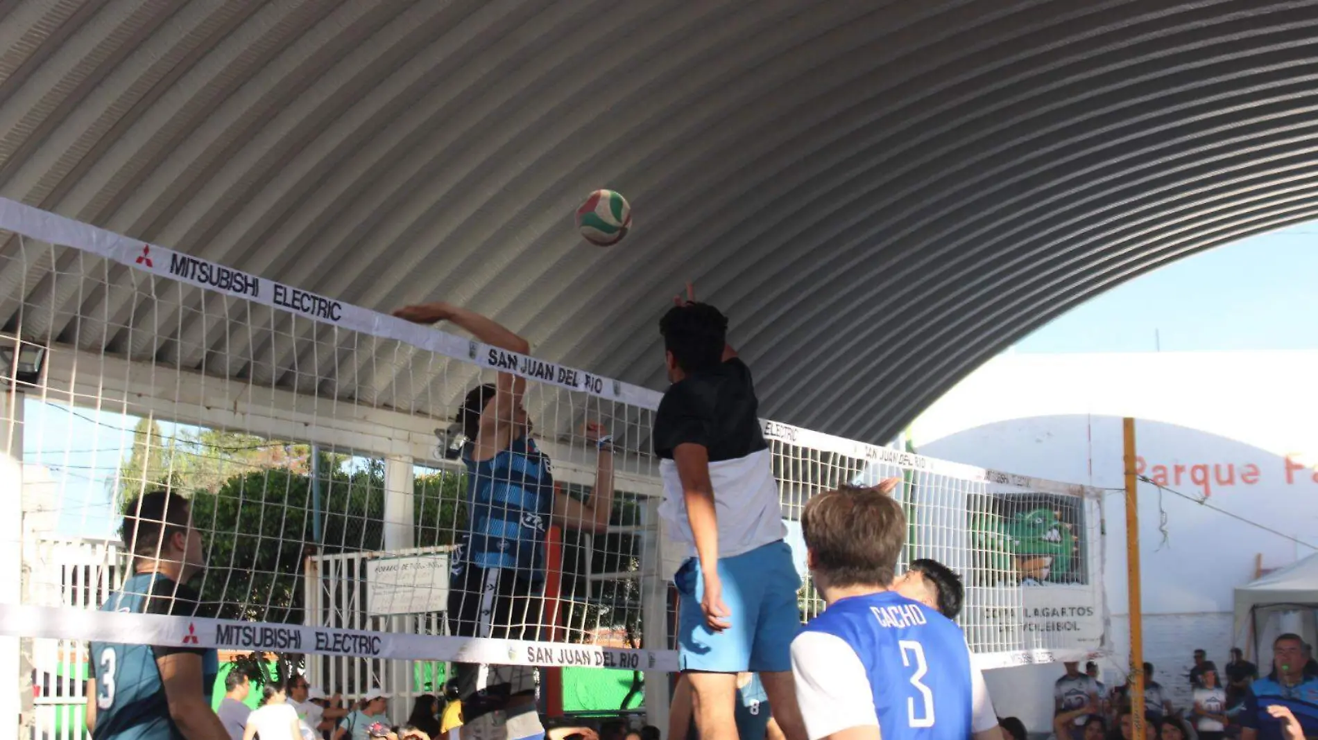 Voleybol