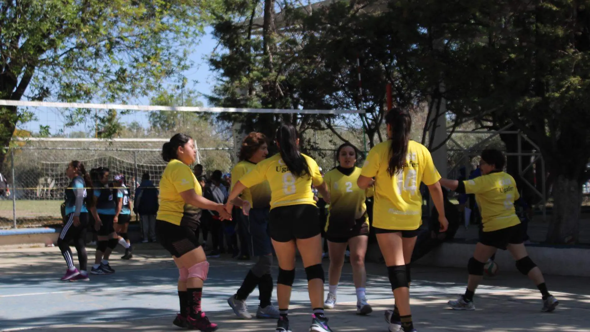 Voleibol