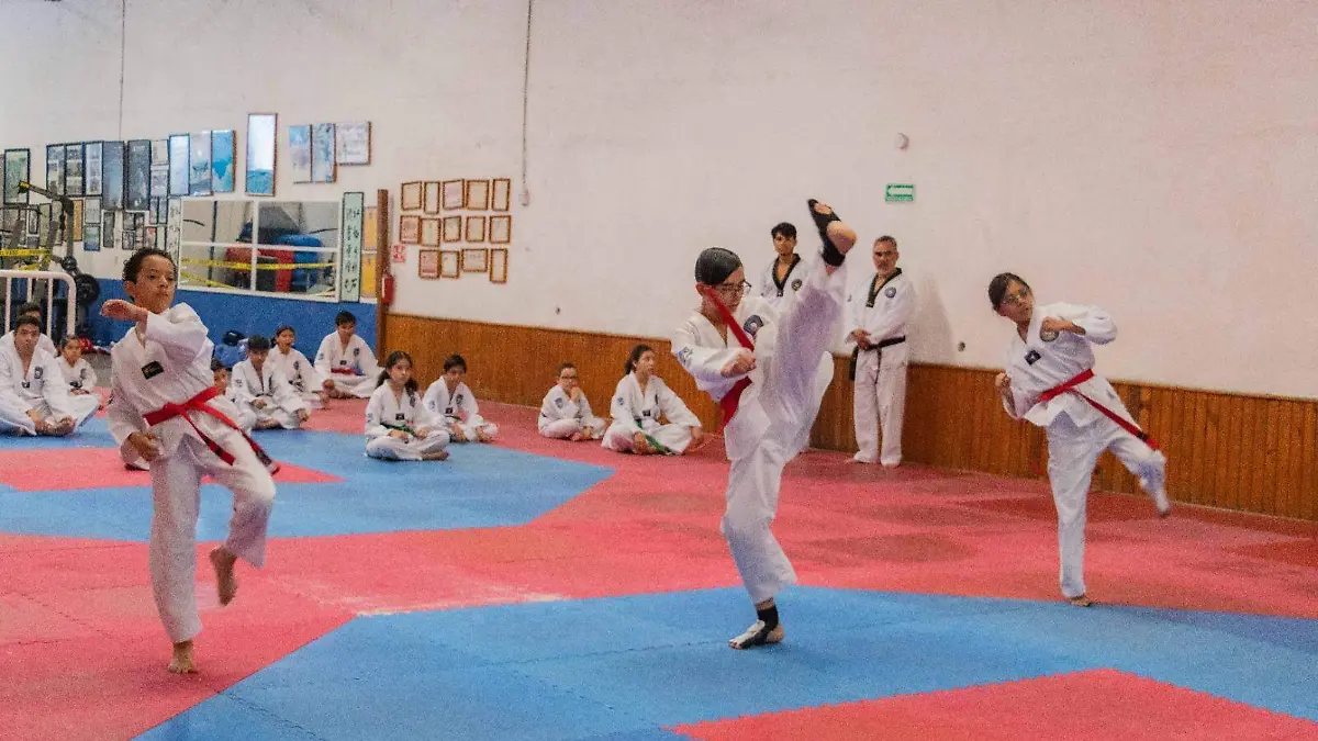 taekwondo1