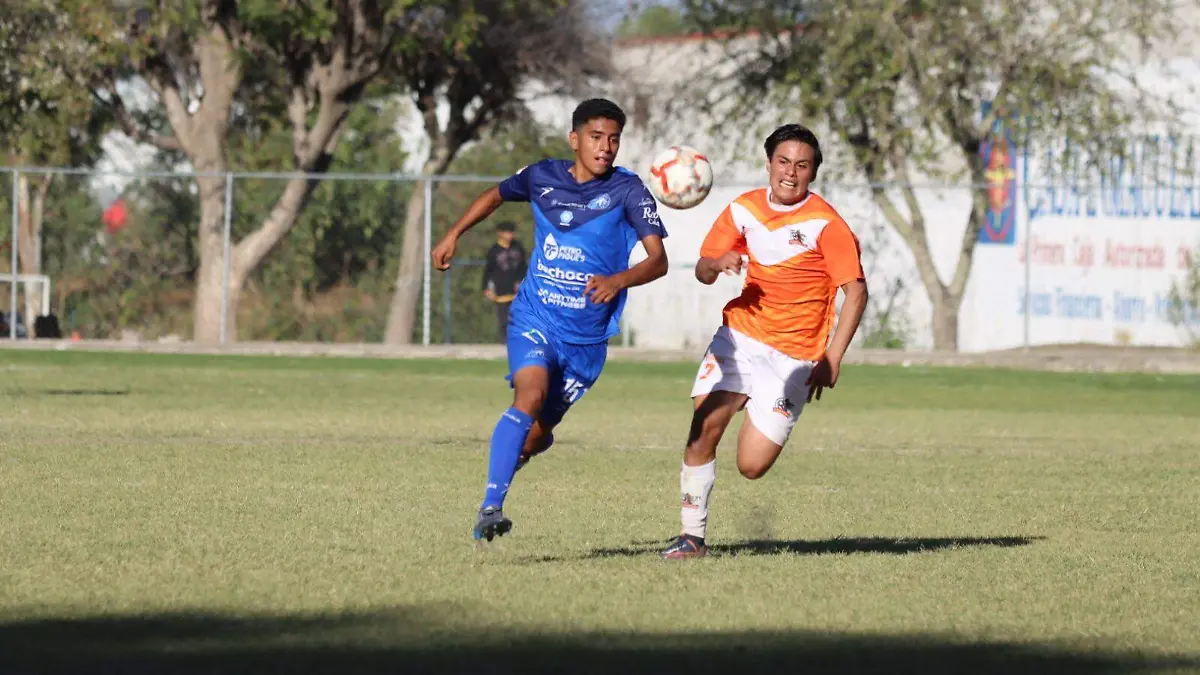 gavilanes