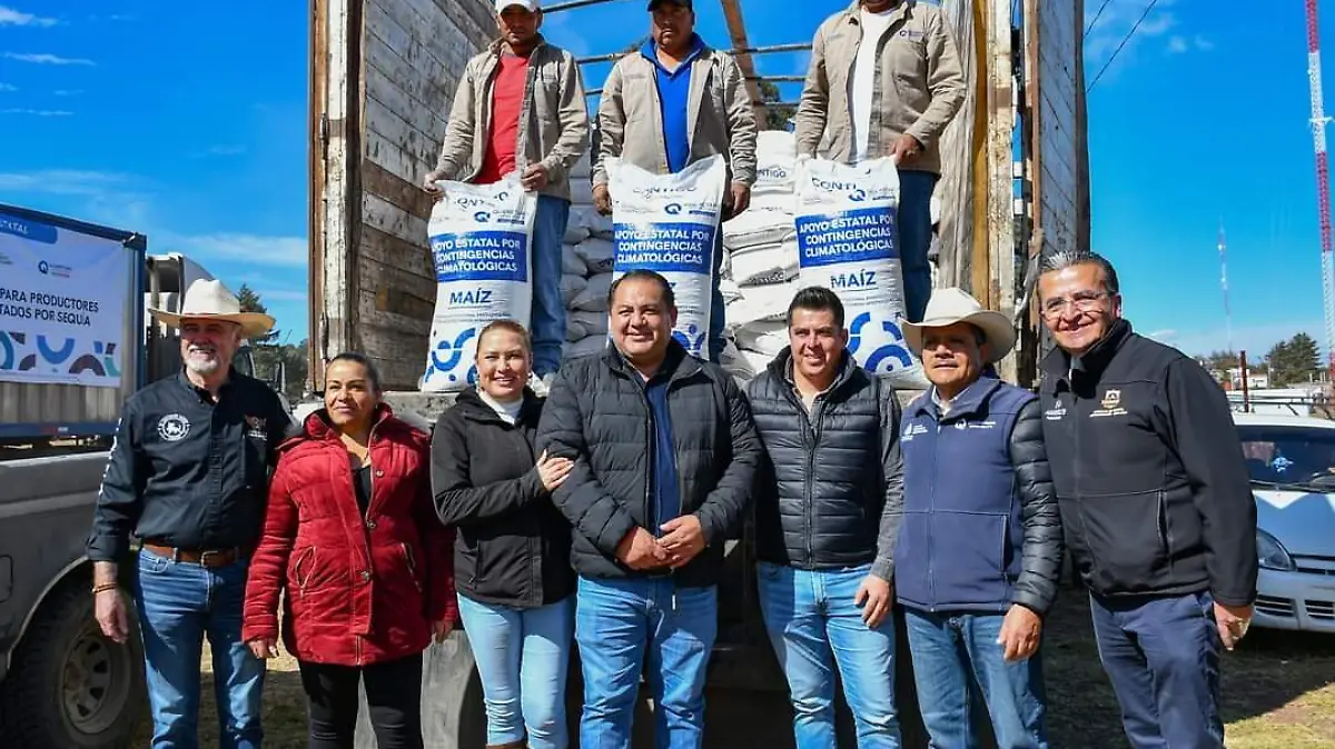 Amealco sedea