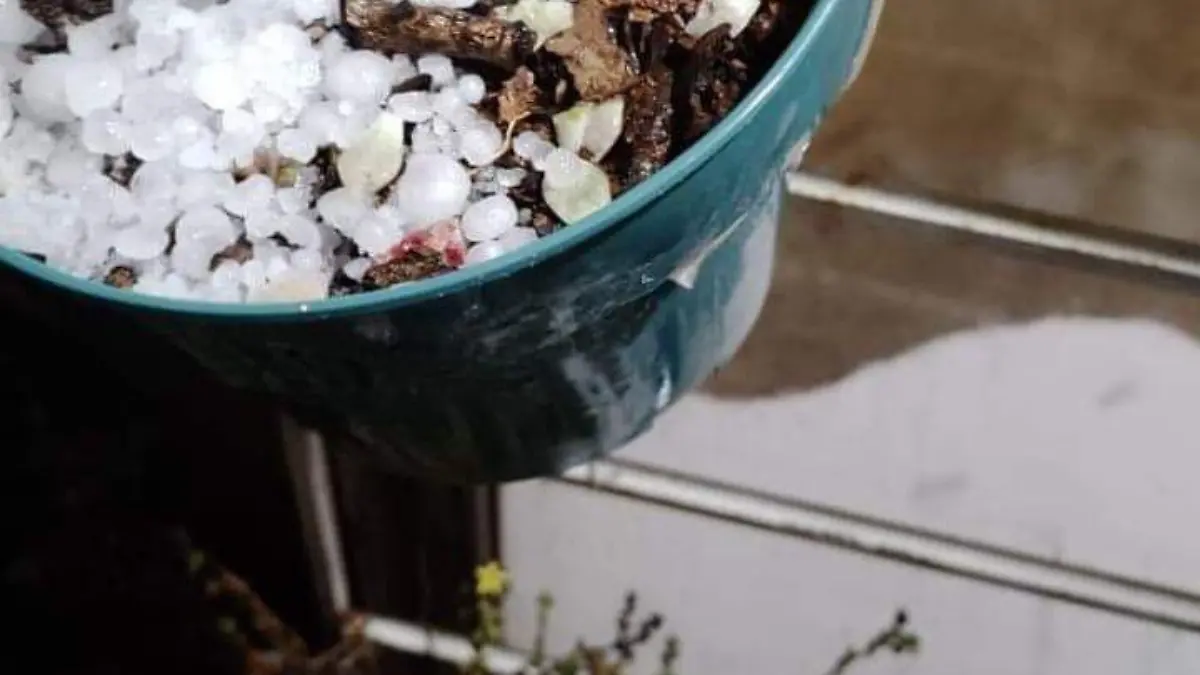 sjr En algunas partes