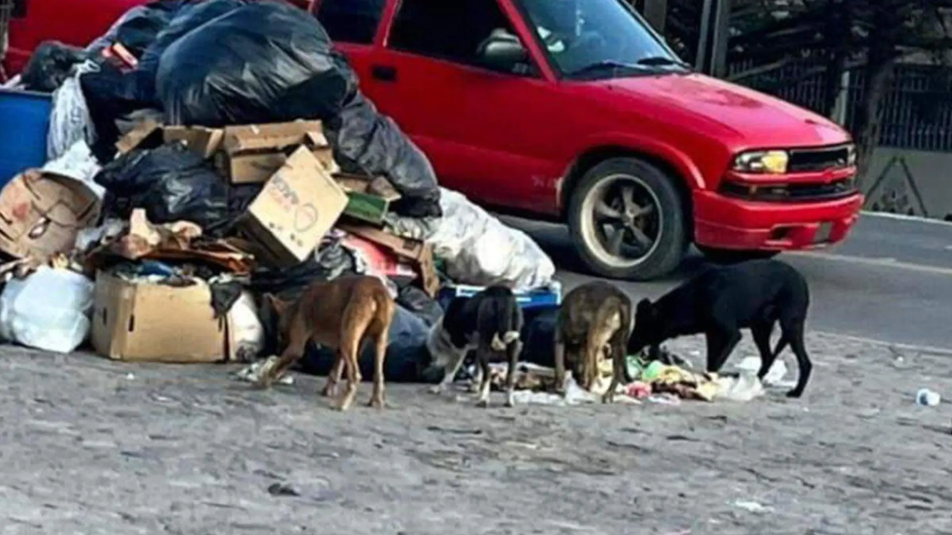 basura-amealco