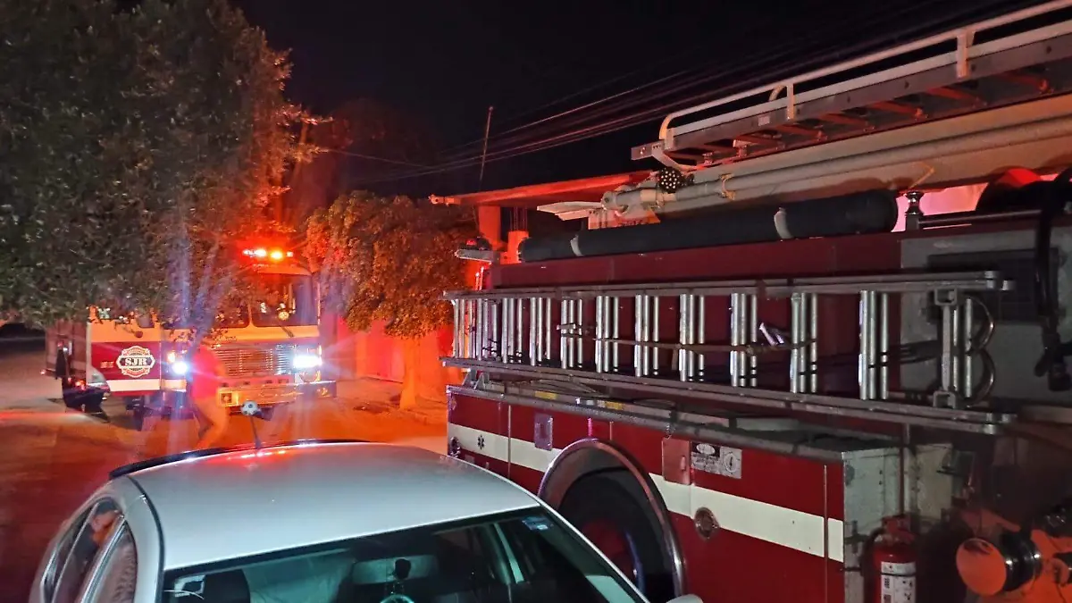 WhatsApp Image 2024-09-24 at 22.06.37