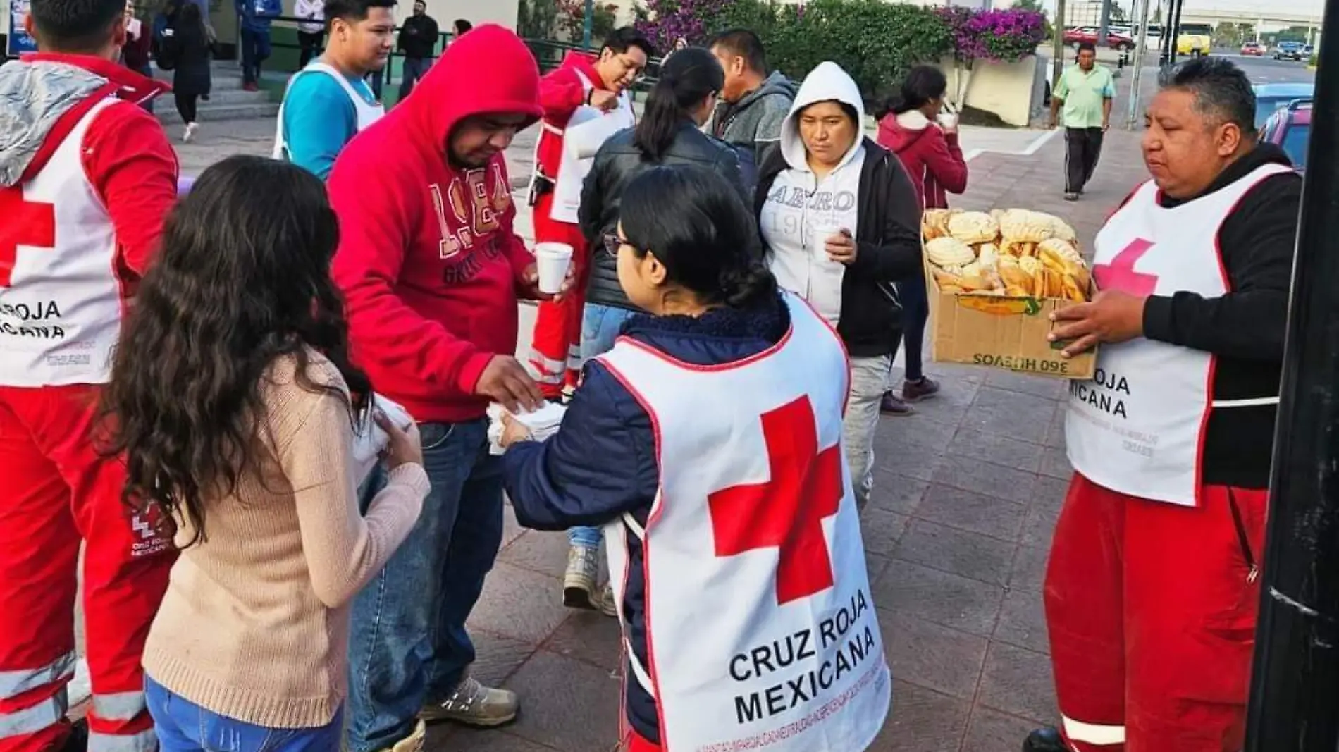 voluntarios