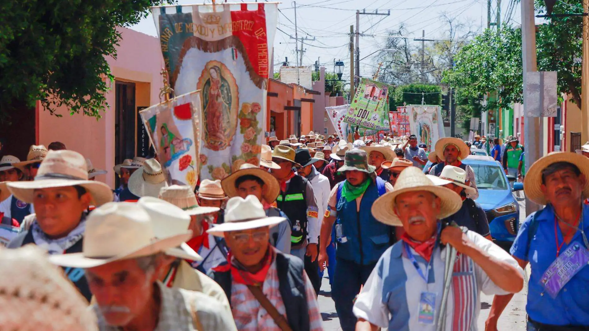 Peregrinación