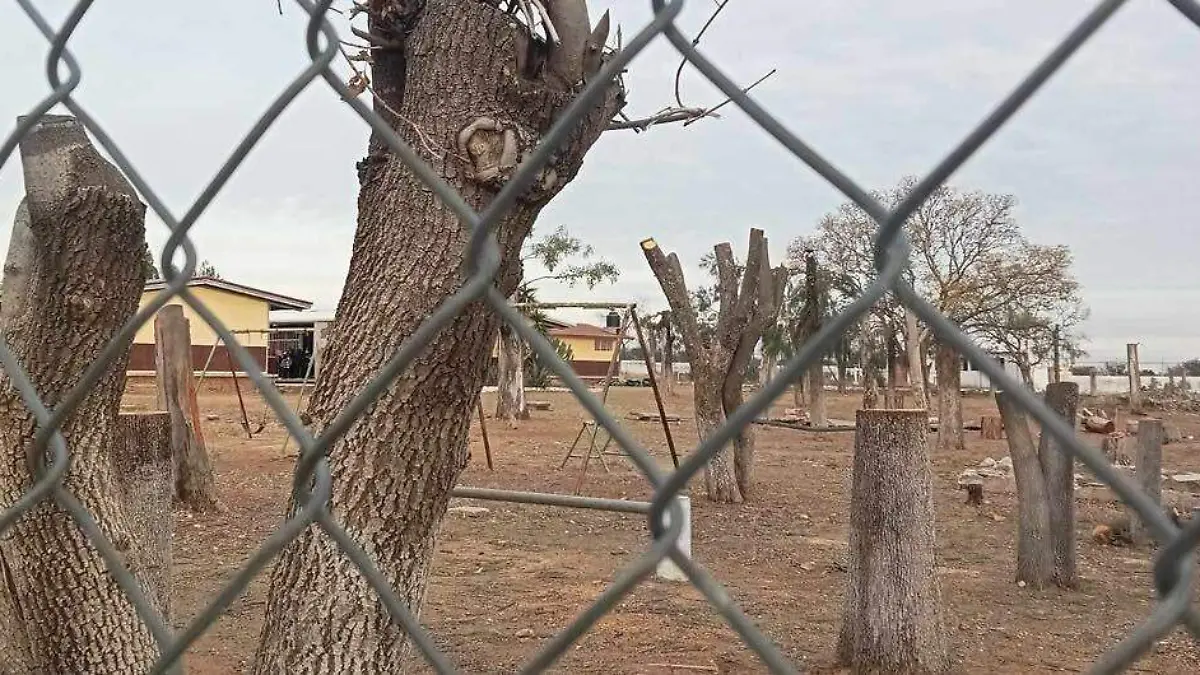 SJR_Dano al ambiente