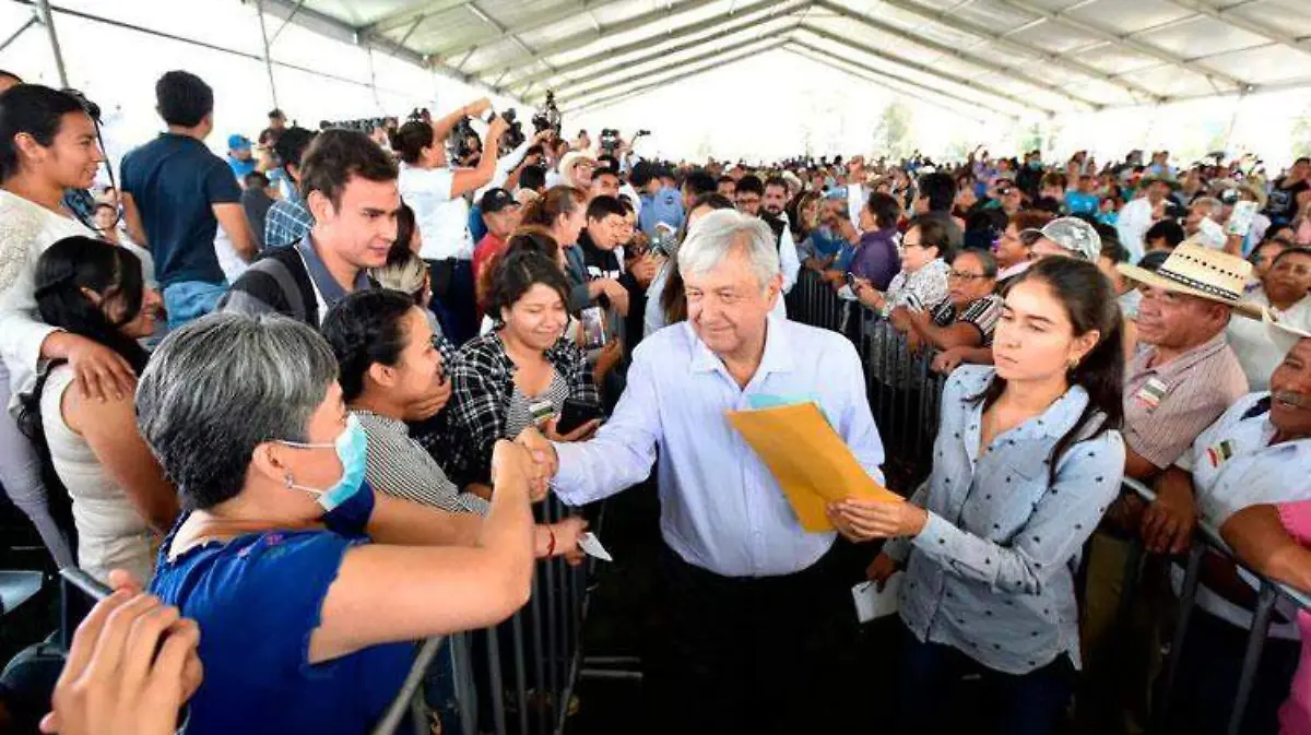 amlo