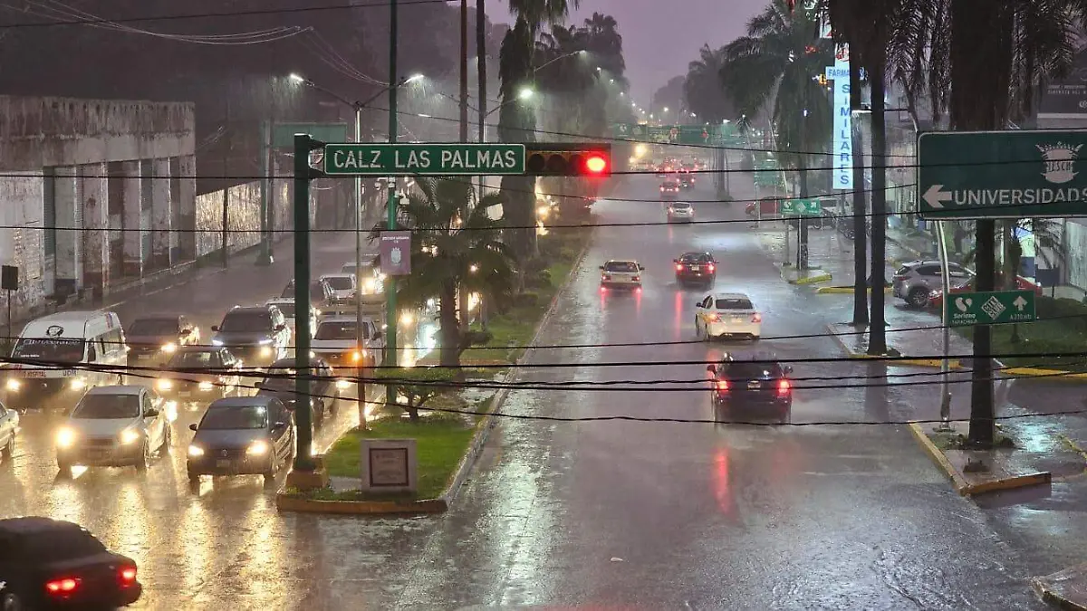 tormenta_pilar_manul_núñez_diario_del_sur