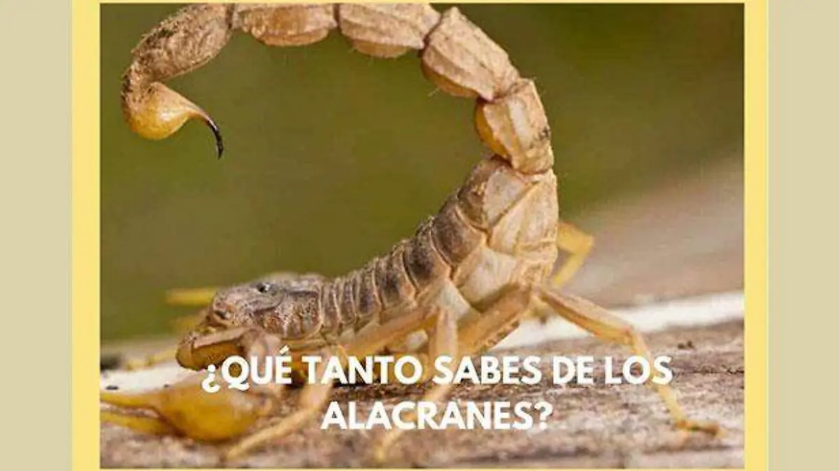 Alacranes