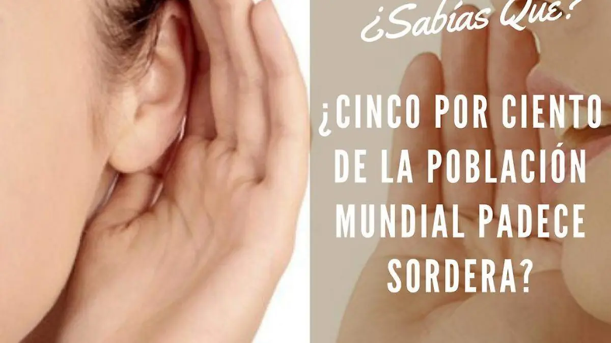 SORDERA