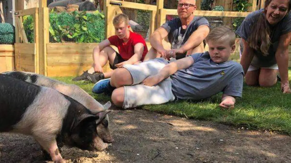 TV-britanica-comeriamos-mascota-FotoChannel4_MEDIMA20191016_0032_31