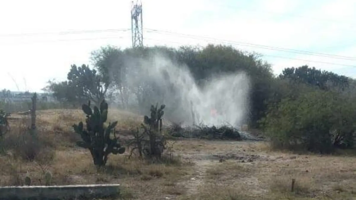 1fdf009a-8f43-421e-8639-c7e601164cda