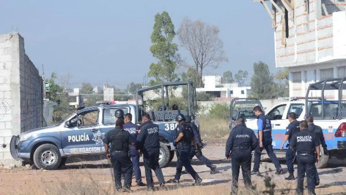 WhatsApp Image 2017-11-01 at 11.45