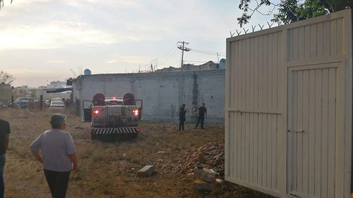 24 ABR LOS VULCANOS