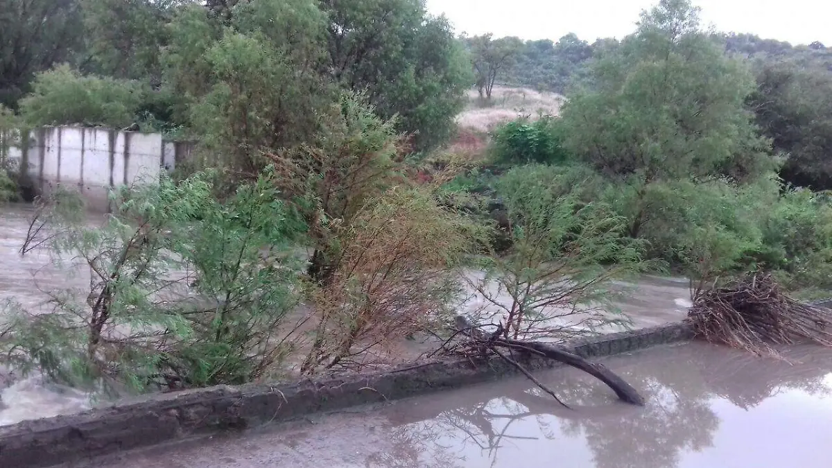 La fuerza de la corriente del agua arrasó con árboles y piedras que quedaron en el río de La Magdalena.