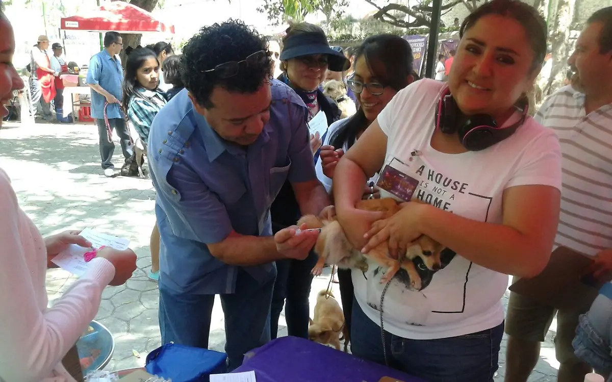 Con apoyo de rescatistas se vacunaron más de 400 mascotas