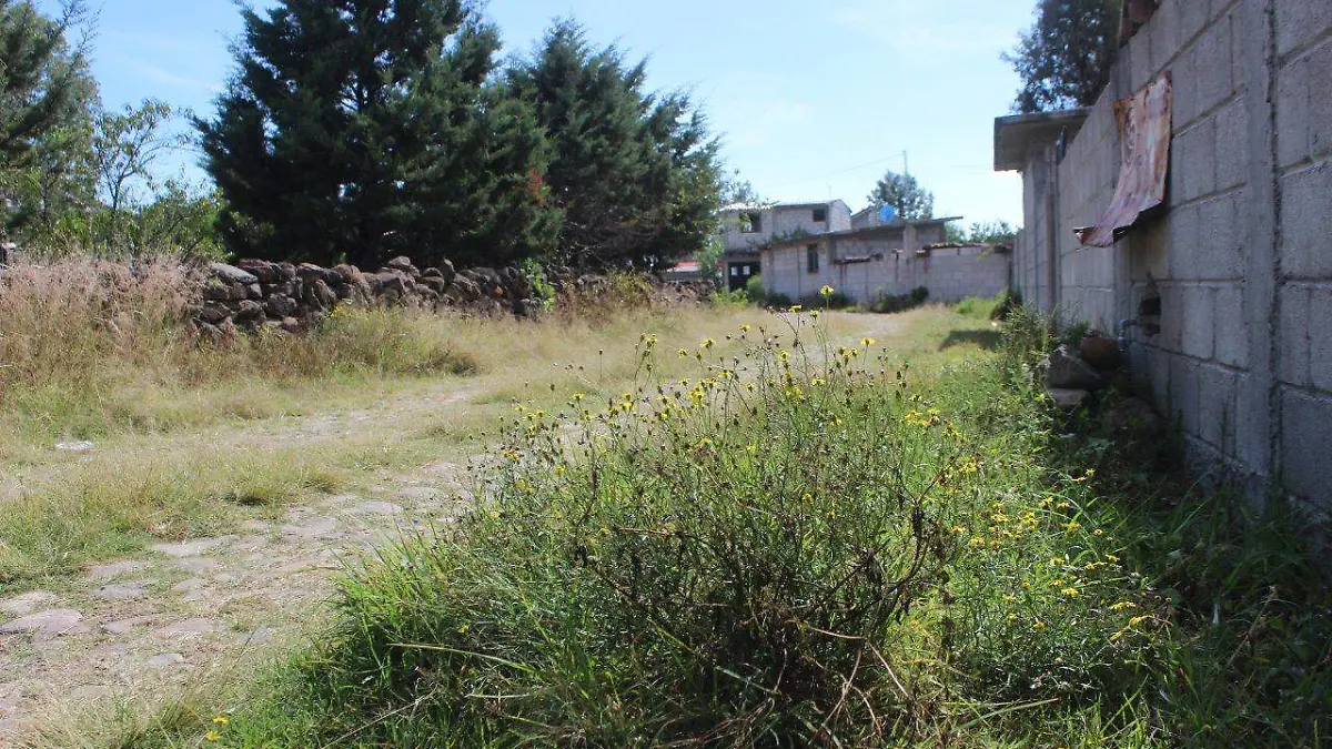 41c3e5ca-b1f4-41ae-96b3-ea273f9ace94