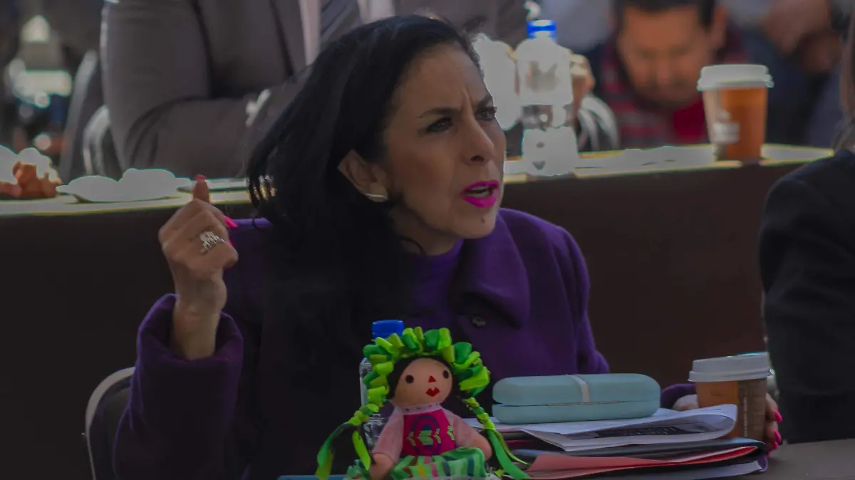 Martha Fabiola Larrondo Montes, diputada de la Comisión de Asuntos Indígenas.