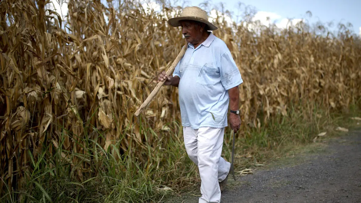 Las mesas de trabajo con los productores se realizaran parcialmente en los prÃ³ximos dÃ­as.