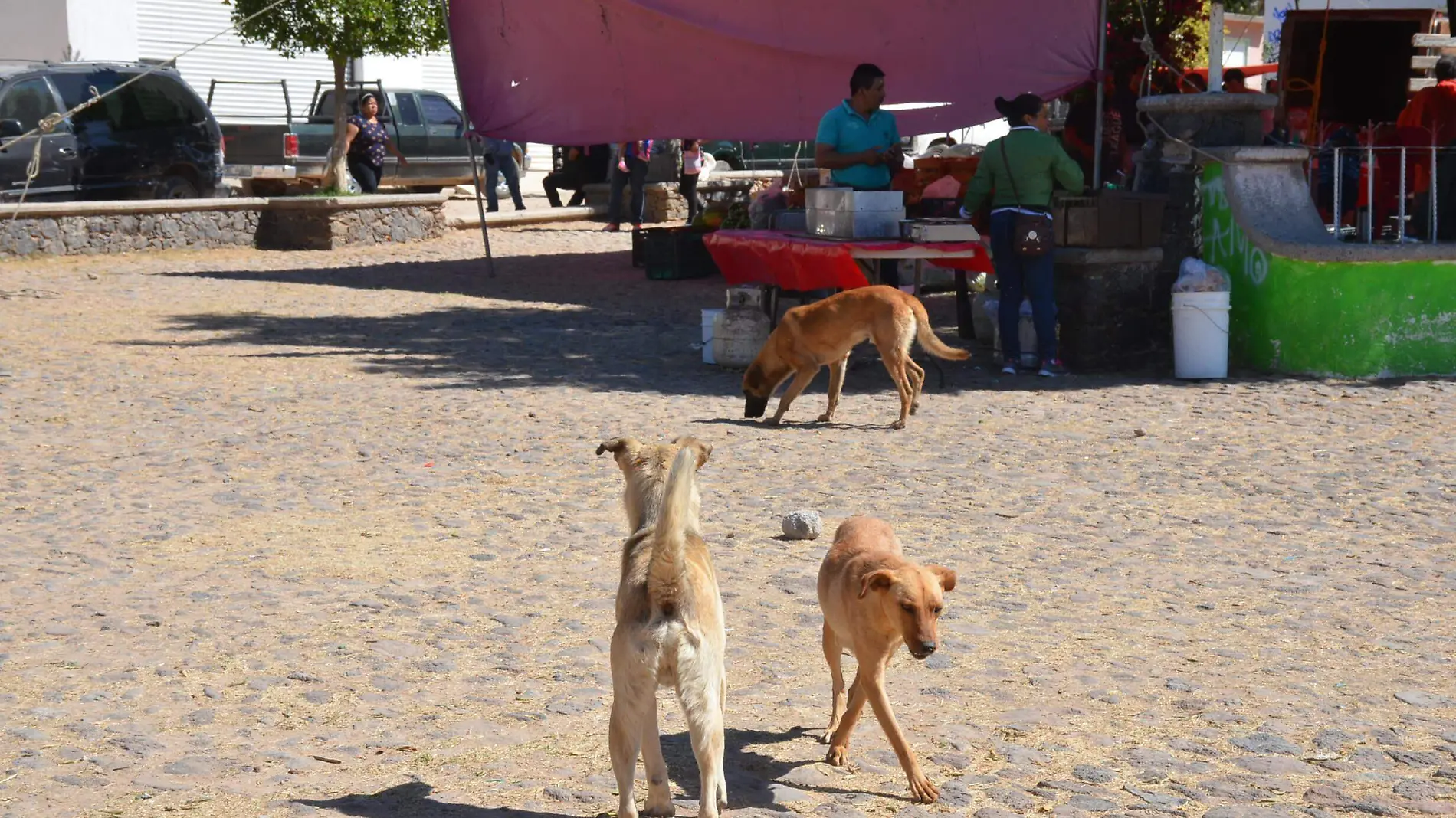 GANADEROS