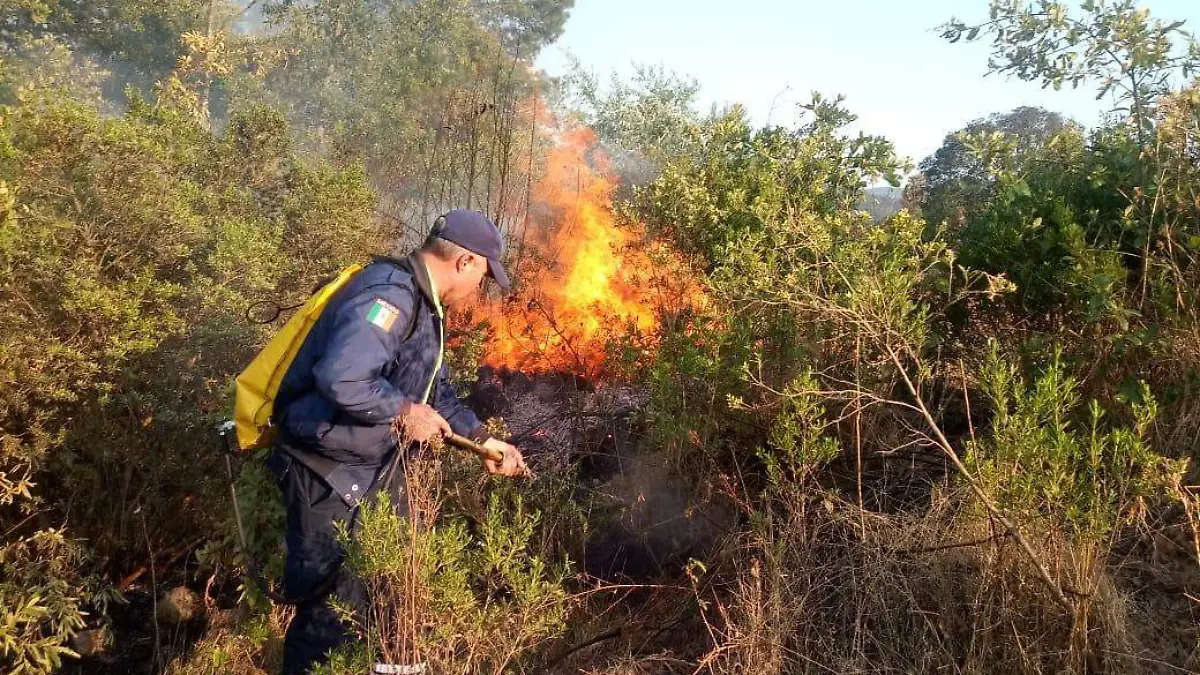 f8930f7f-b4b6-4783-aed2-9cf613921a88